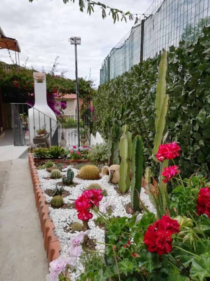 Appartamento Bouganville Magomadas Exterior foto